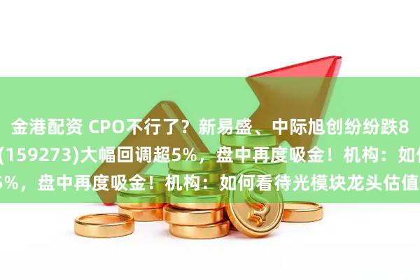 金港配资 CPO不行了？新易盛、中际旭创纷纷跌8%！云计算ETF汇添富(159273)大幅回调超5%，盘中再度吸金！机构：如何看待光模块龙头估值？