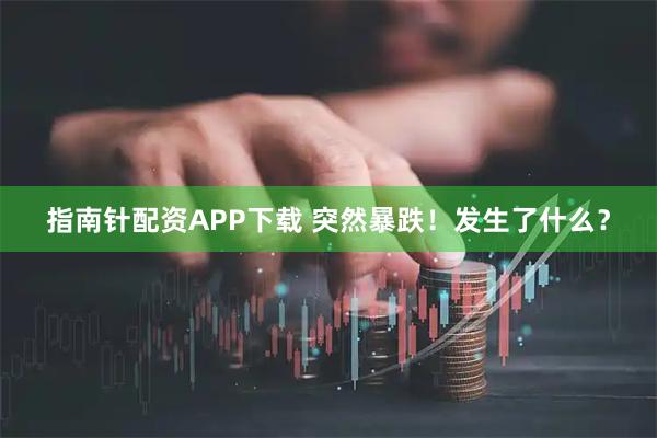 指南针配资APP下载 突然暴跌！发生了什么？