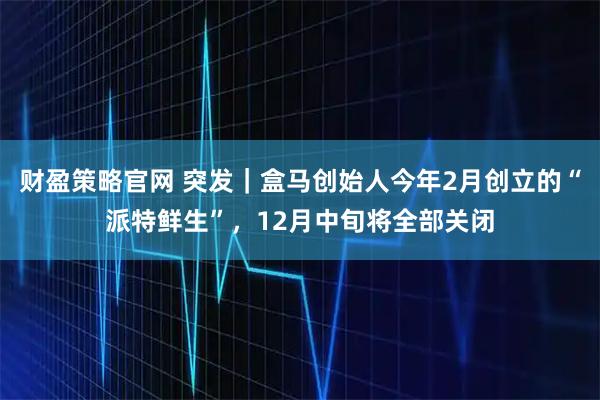 财盈策略官网 突发｜盒马创始人今年2月创立的“派特鲜生”，12月中旬将全部关闭