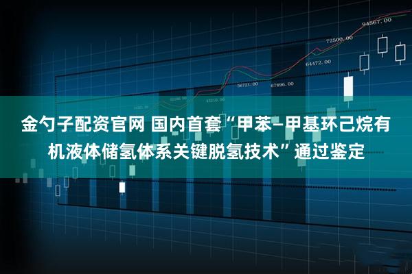 金勺子配资官网 国内首套“甲苯—甲基环己烷有机液体储氢体系关键脱氢技术”通过鉴定